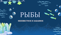 Рыбы